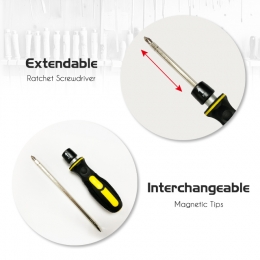 2-in-1 Ratcheting Extendable Screwdriver